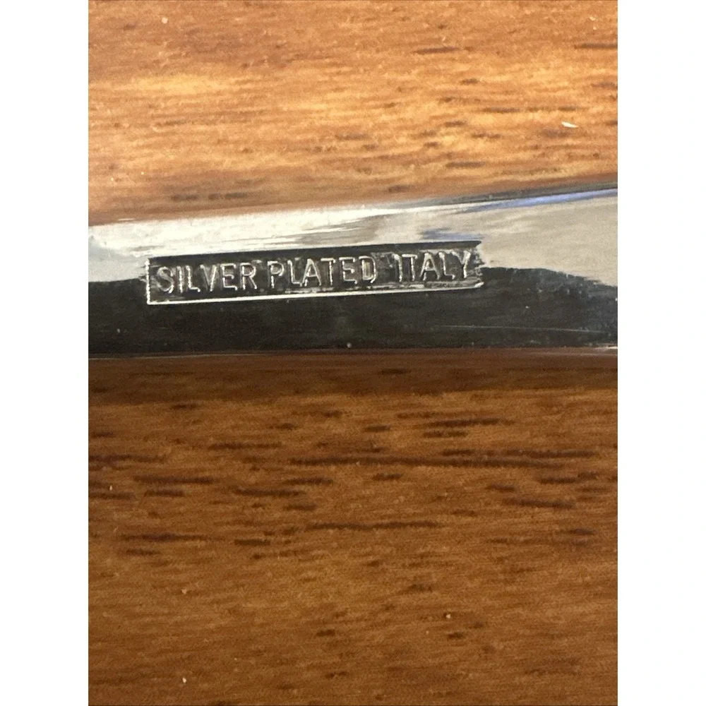 The Unbranded Brand vintage silver