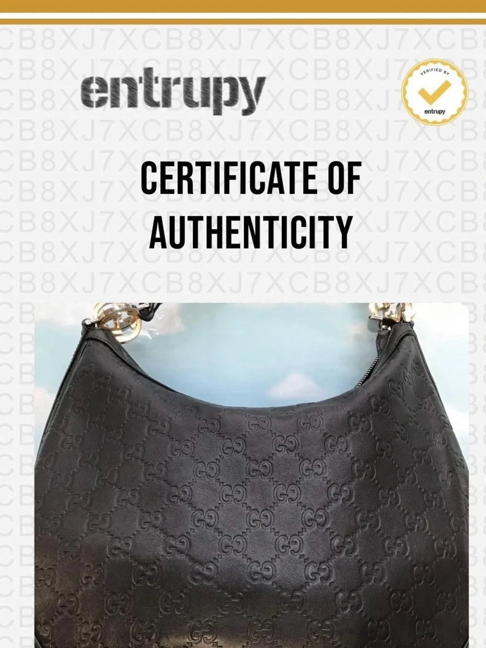 Gucci Guccisima Hobo Bag Black Leather with Silver & Gold hardware. COA Included