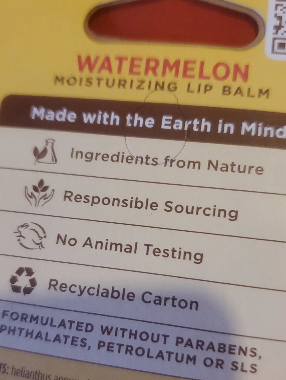 Burts Bees moisturizing lip