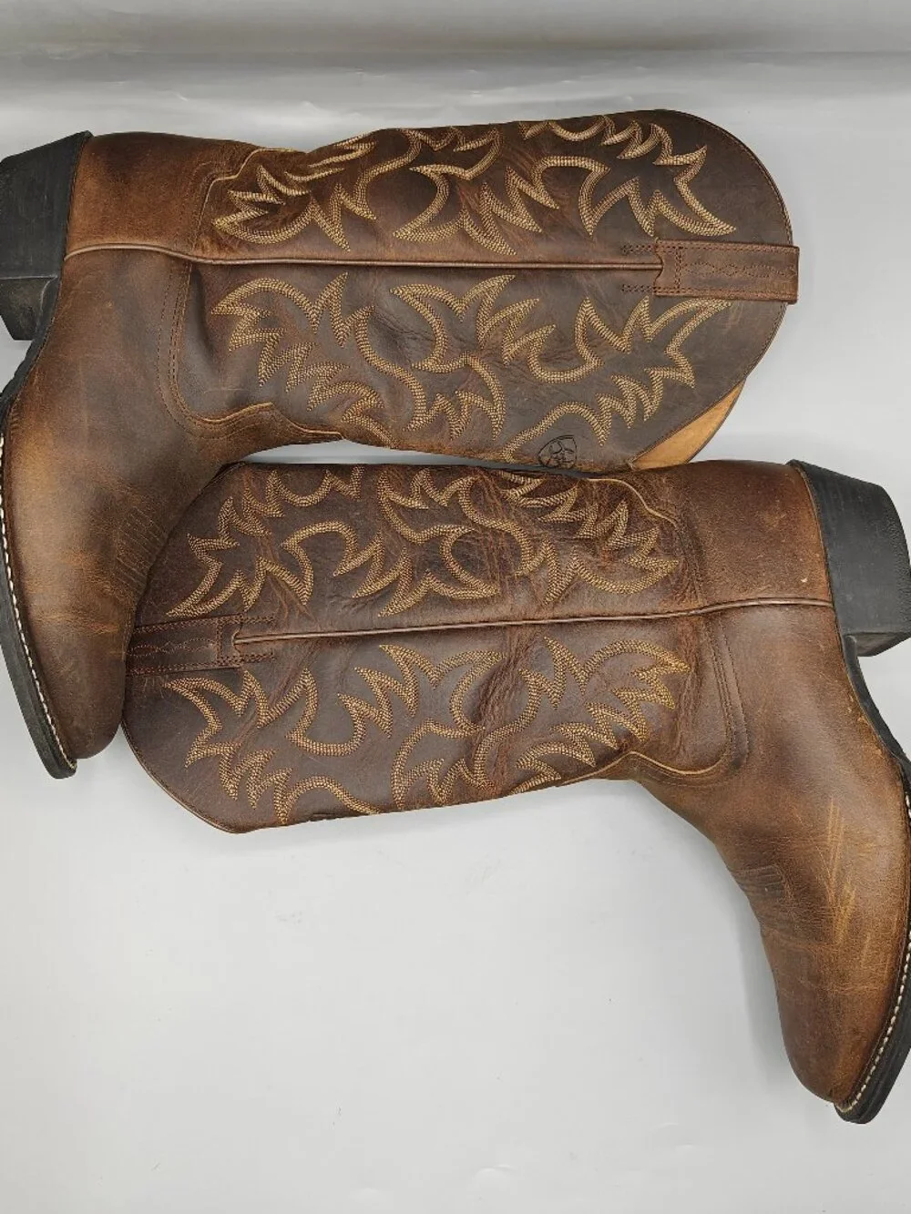 Ariat size all