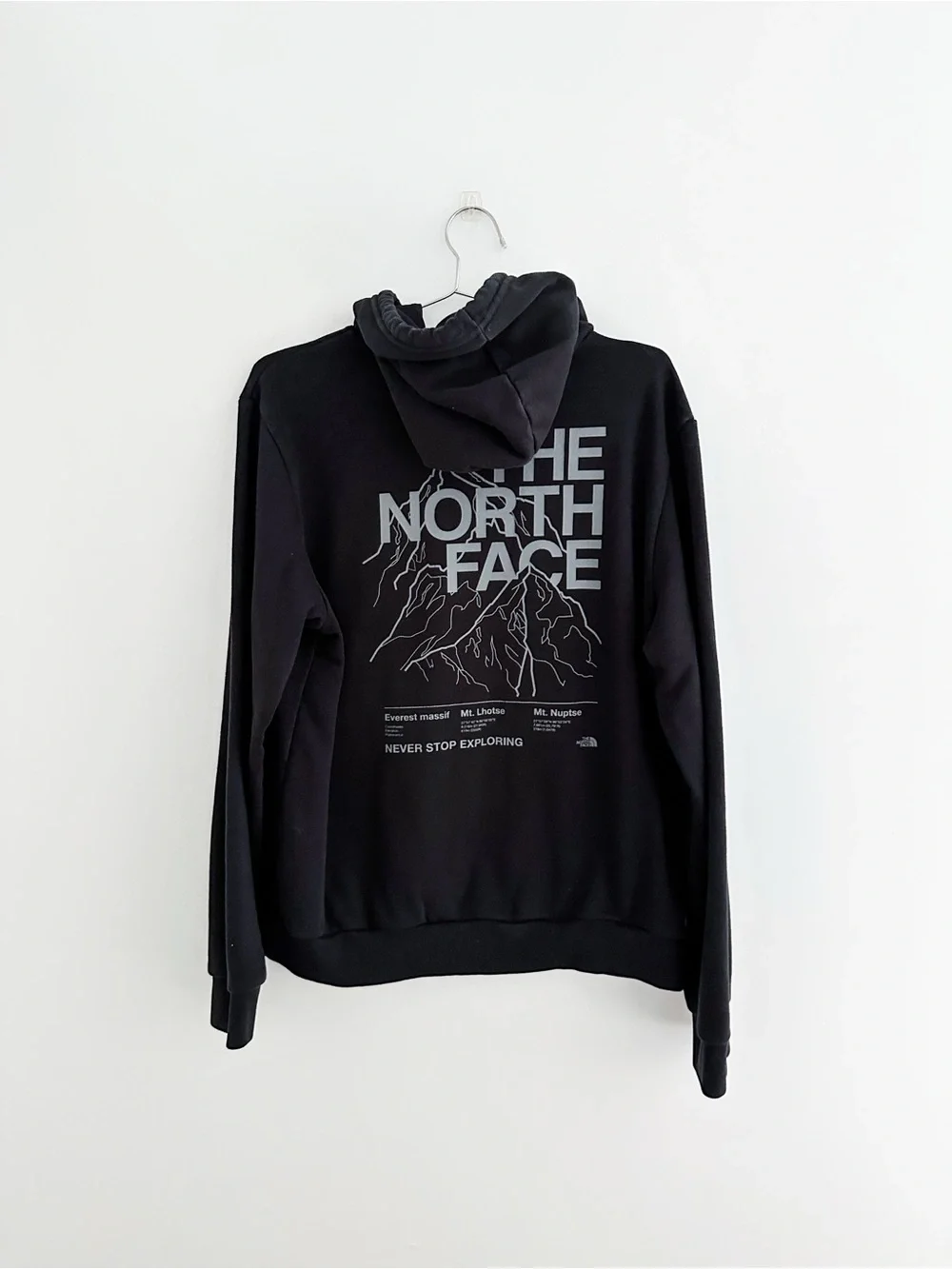 The North Face north face