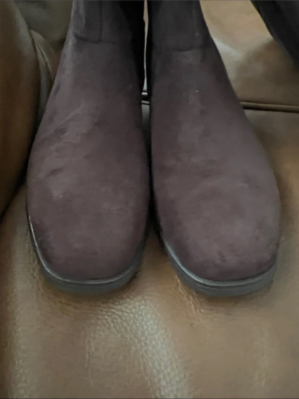 Splendid never worn