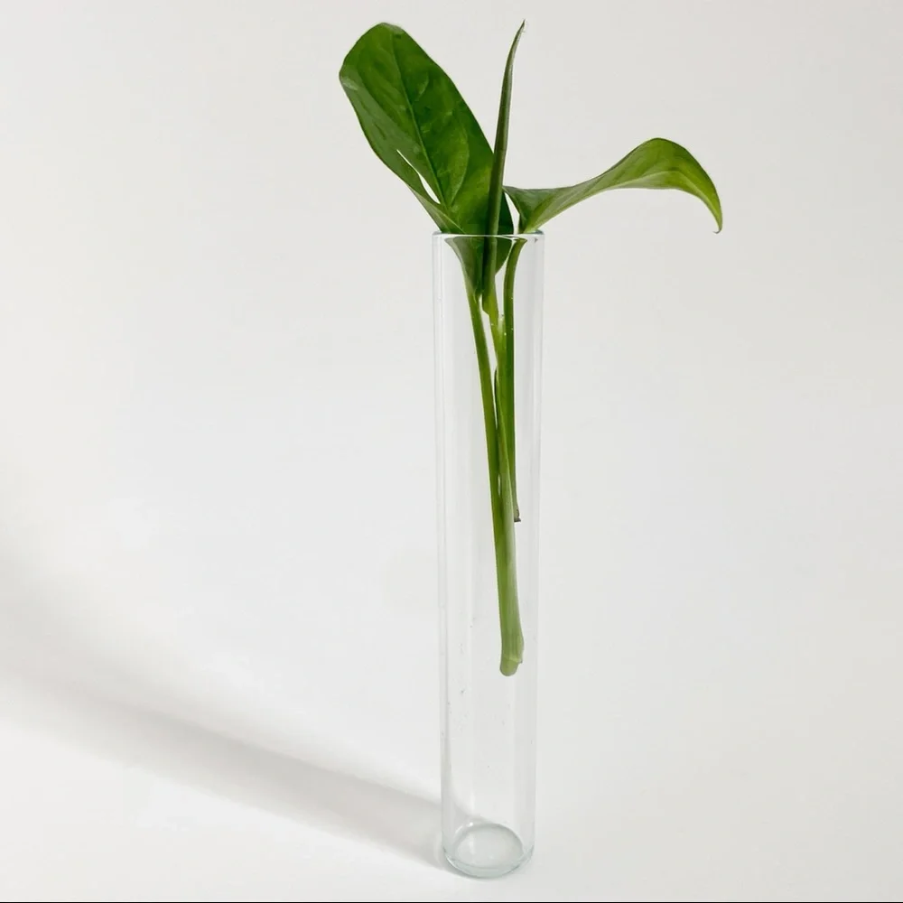 N/A minimalist propagation