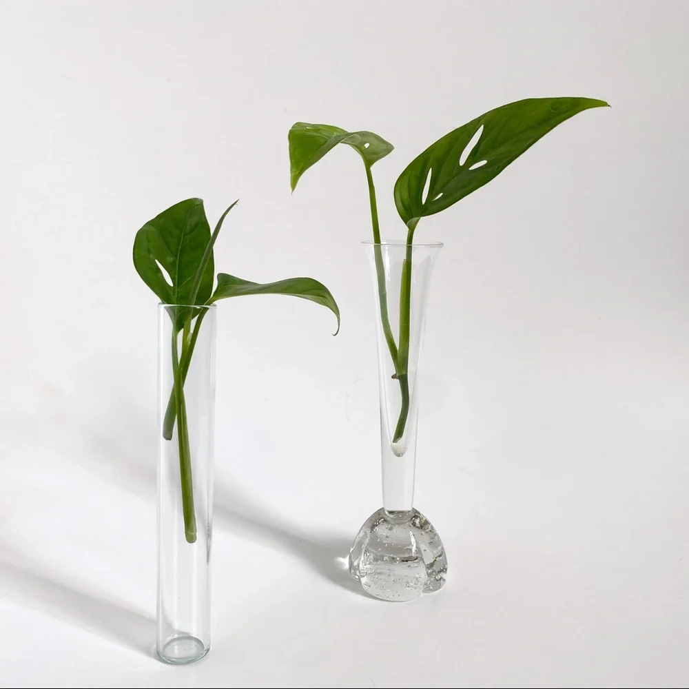 N/A minimalist propagation