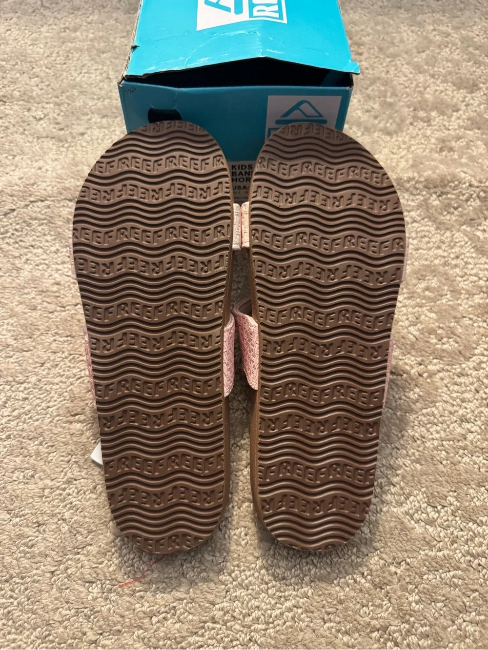 Reef kids slide