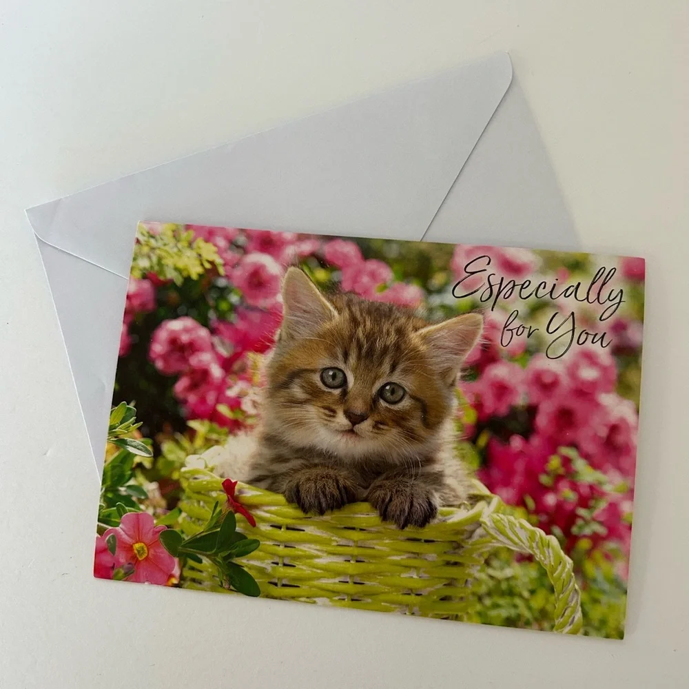 🦋 5/$25 - Dogs and Cats Themed Birthday Card Set