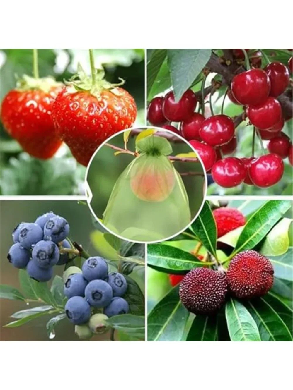N/A 🧿fruit netting