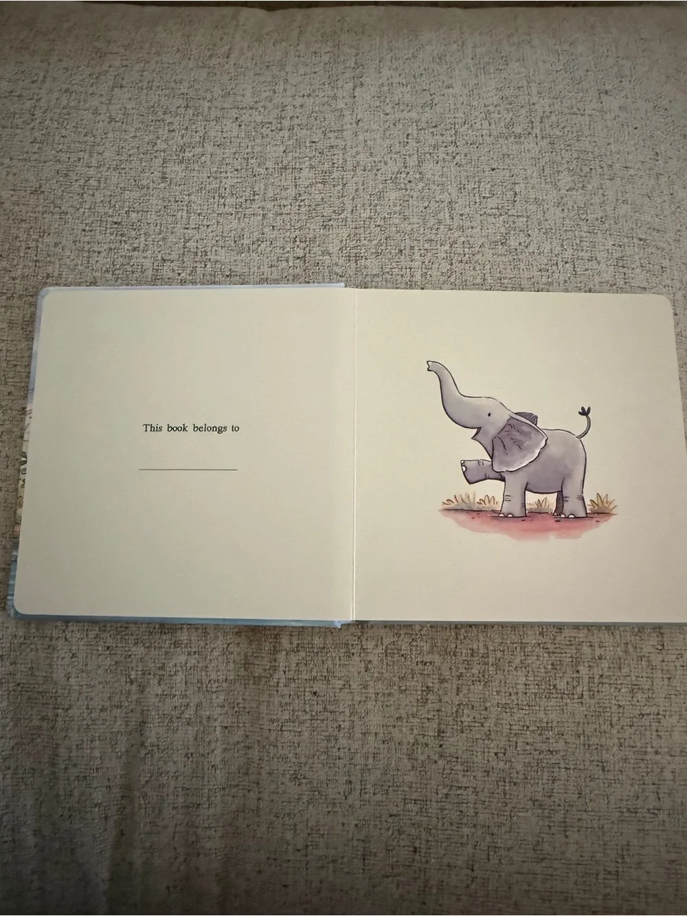 Jellycat “An Elephant Knows Best” Board Book