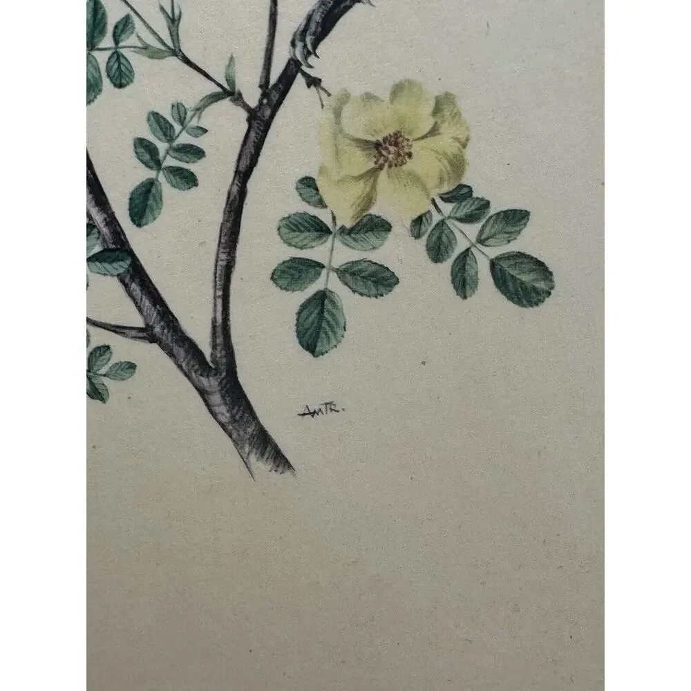 Sewell signed wooden