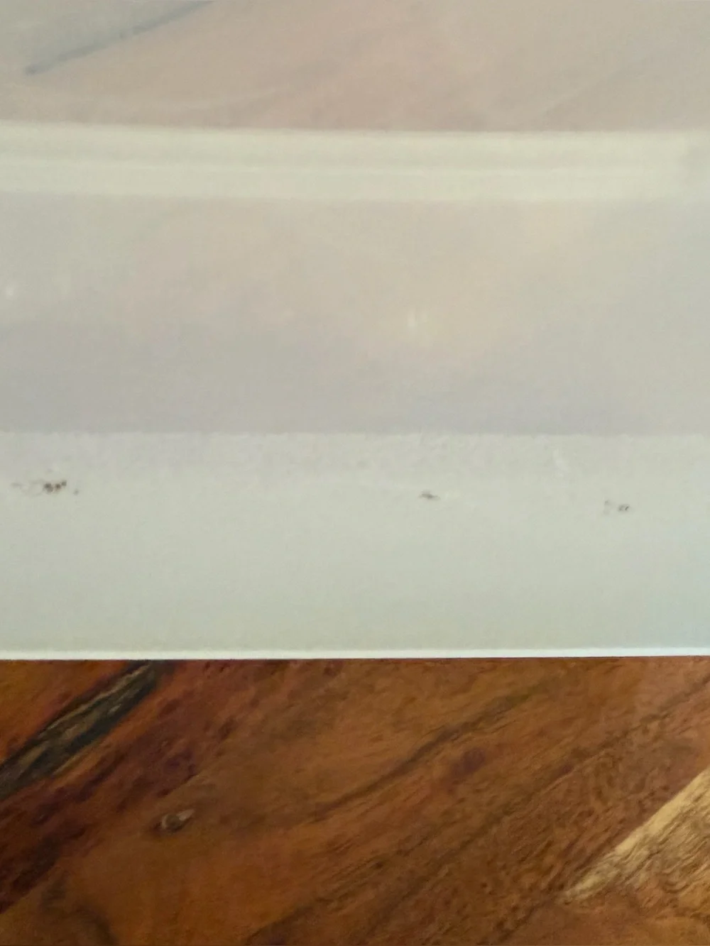 Rubbermaid unable cups