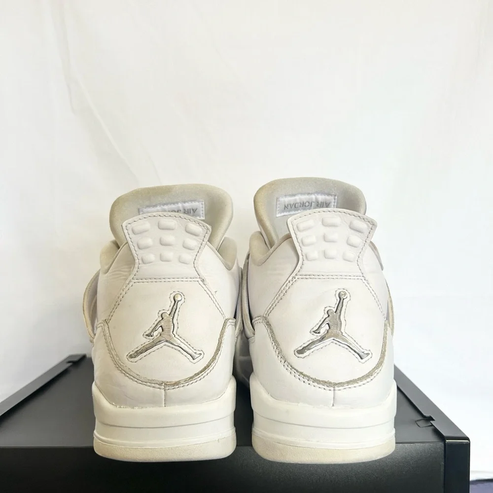 Jordan retro pure