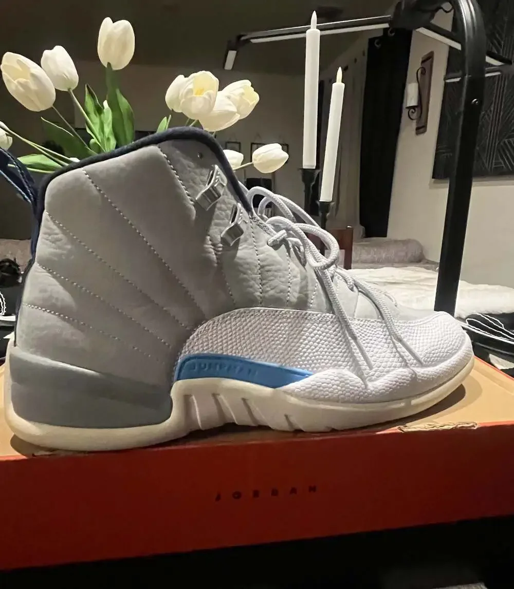 Jordan air 12