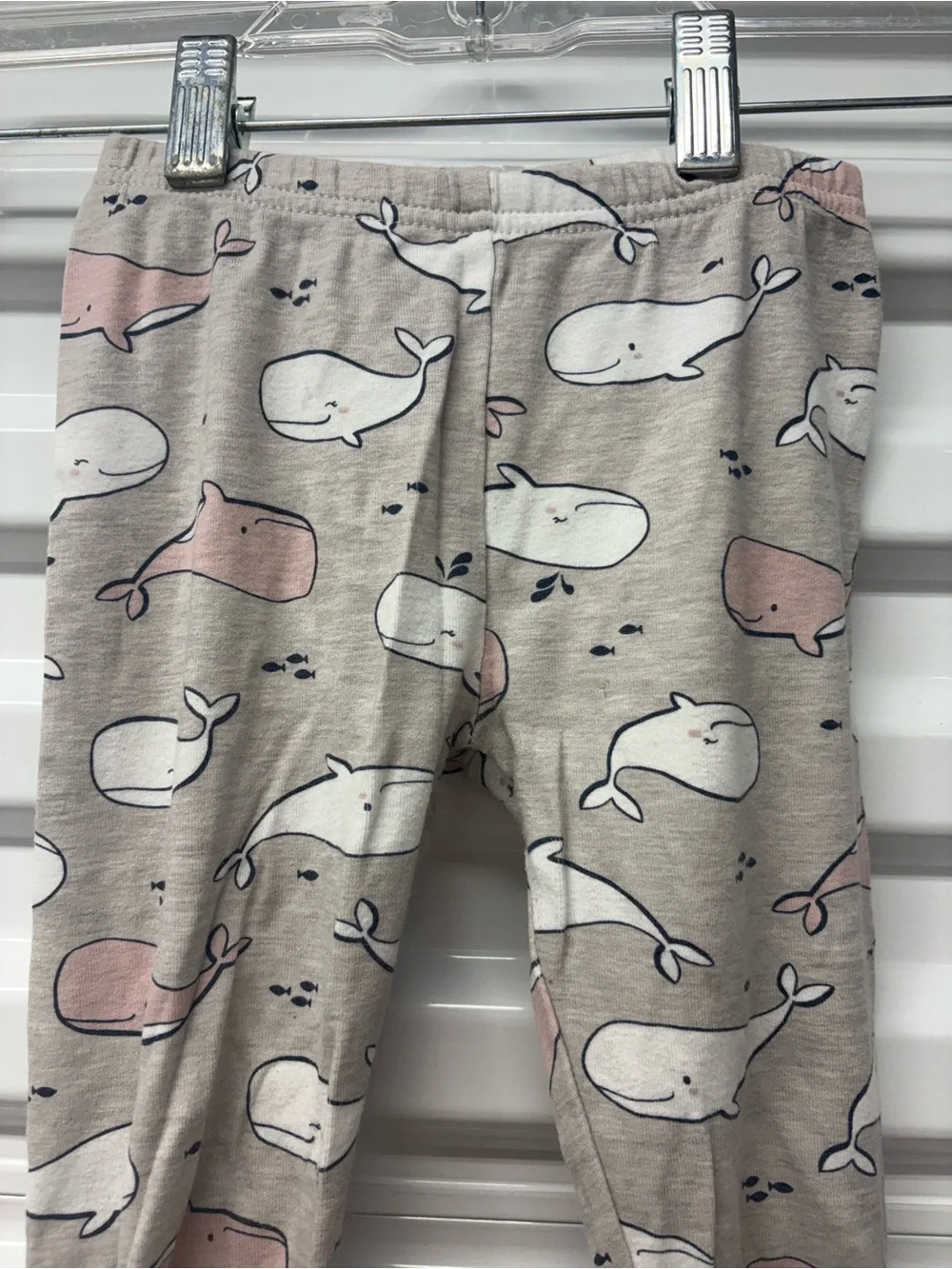 Carters carter whale