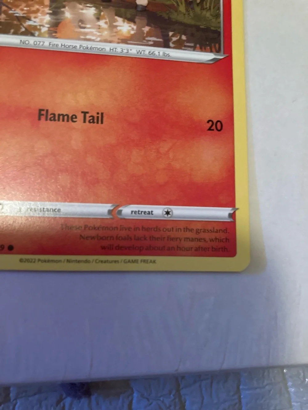 Pokemon official ponyta