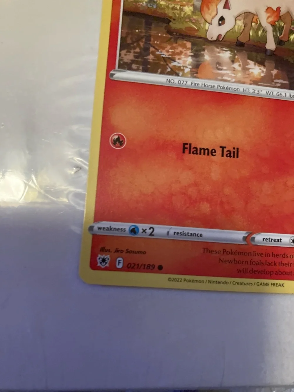 Pokemon official ponyta