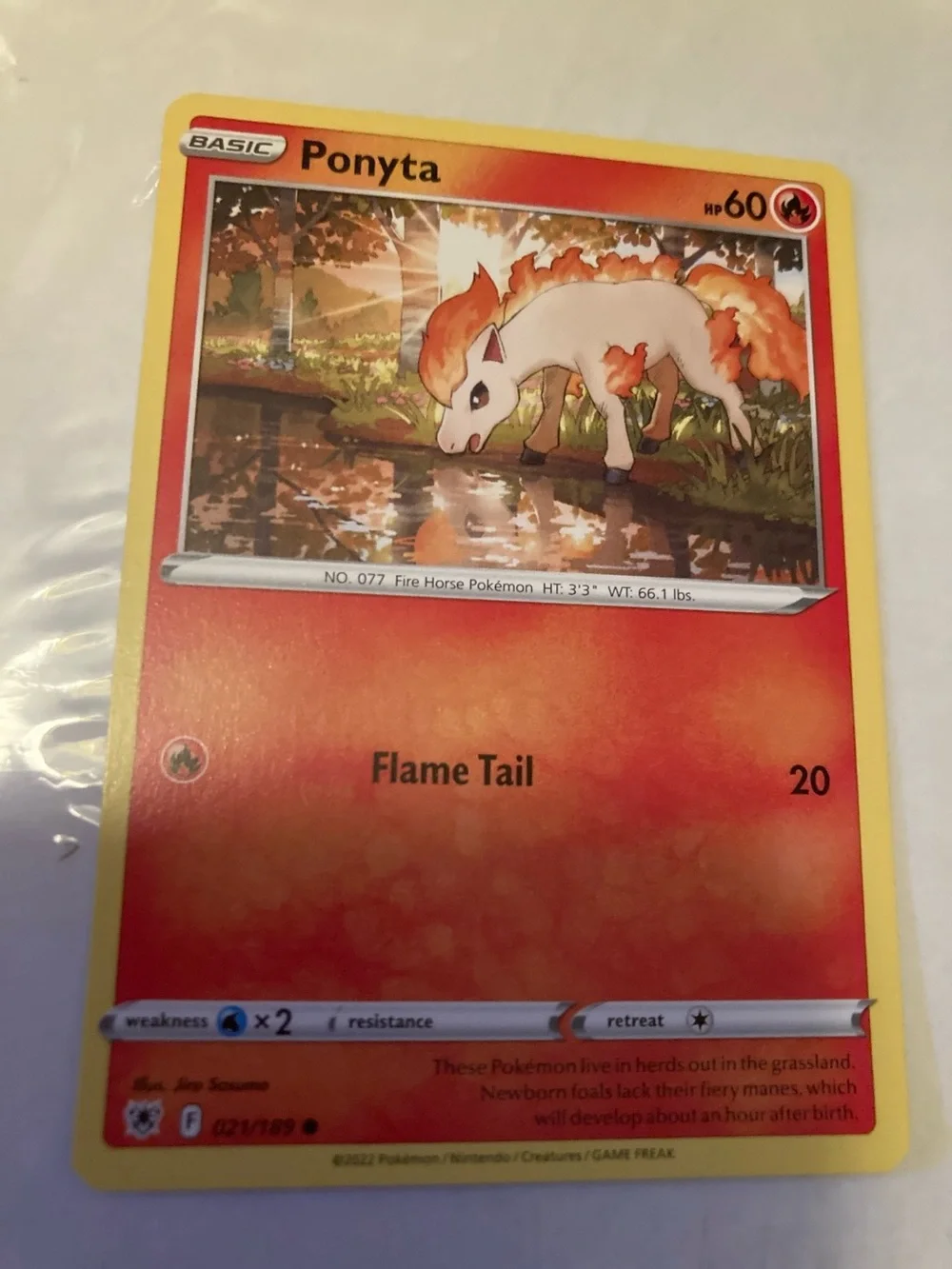 Pokemon official ponyta