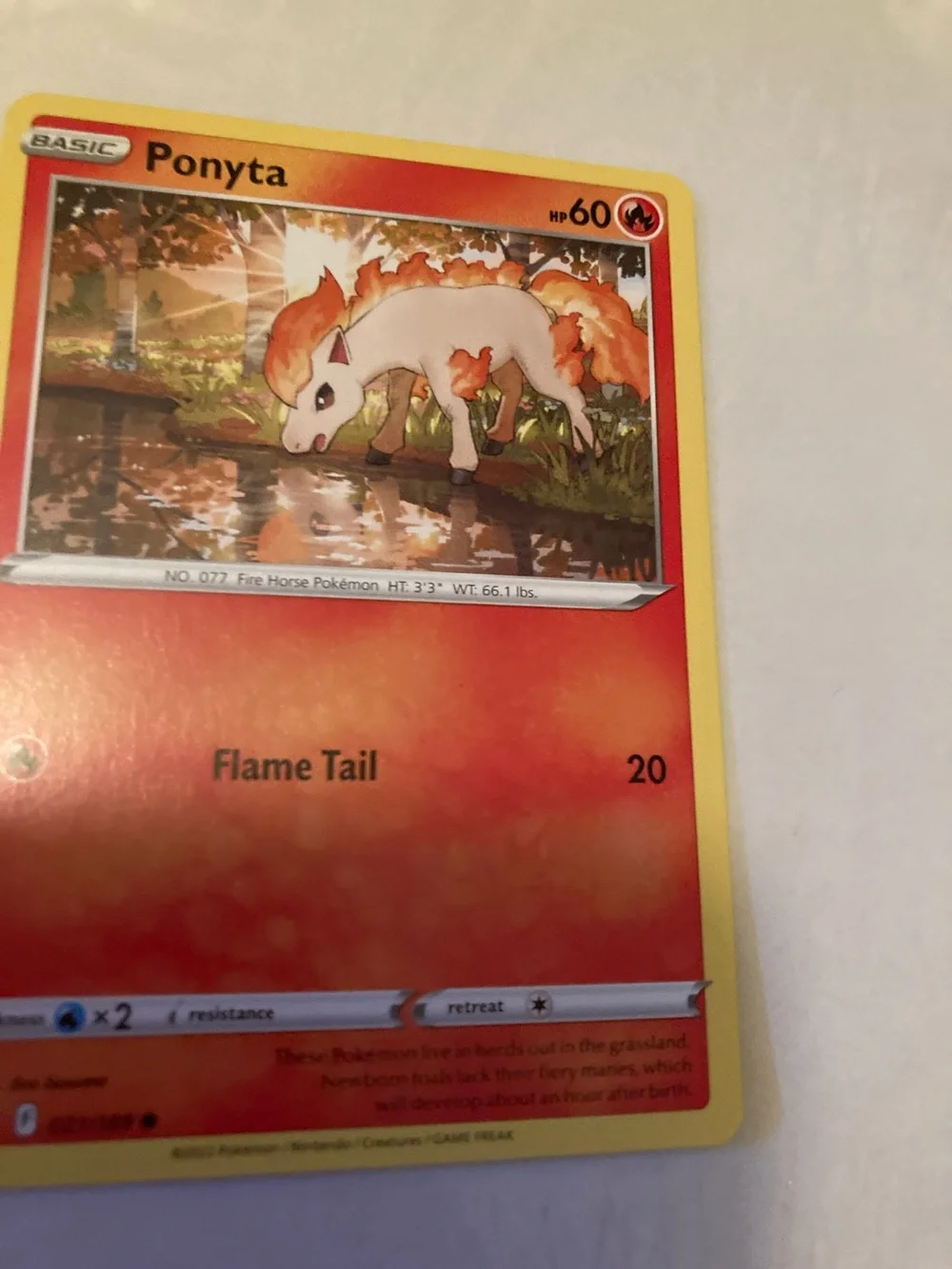 Pokemon official ponyta