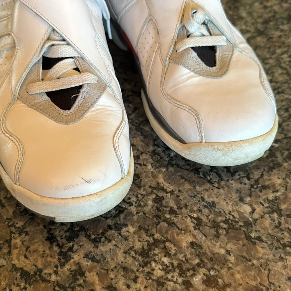 Jordan retro bugs