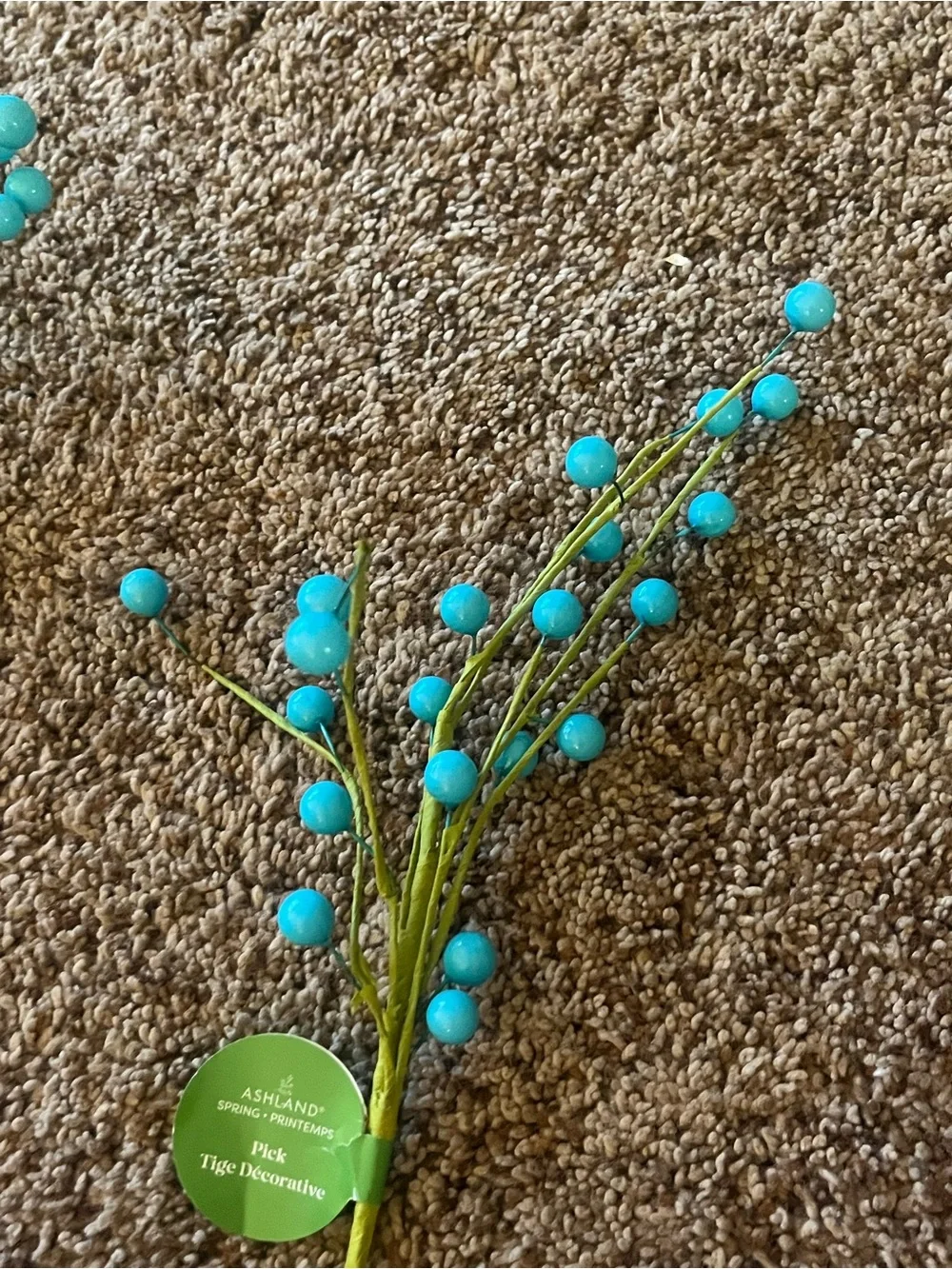 Ashland vibrant teal