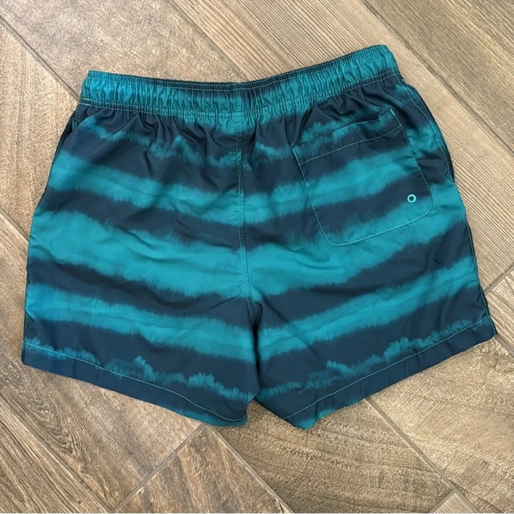 Speedo Men’s XL Swim Trunks Blue Teal Striped Board Shorts Quick Dry