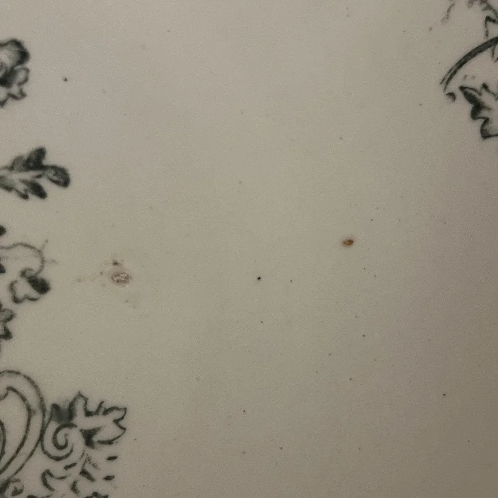The Unbranded Brand bird bath