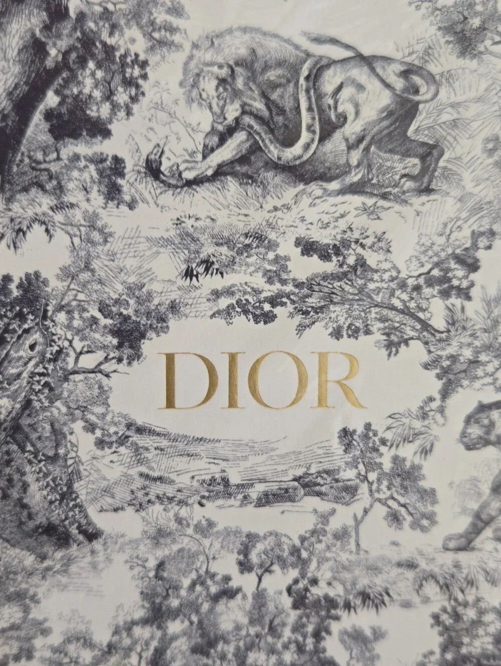 Dior toile de