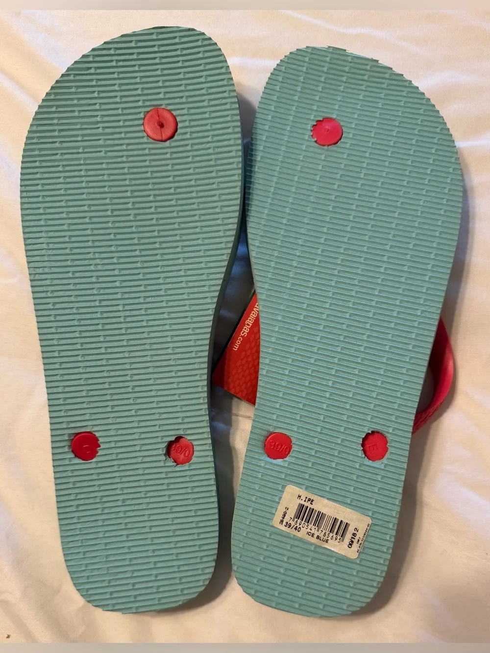 Havaianas ipe parrot