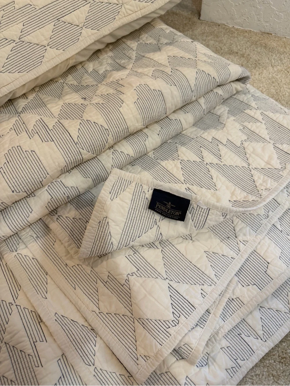 Pendleton pillow stain