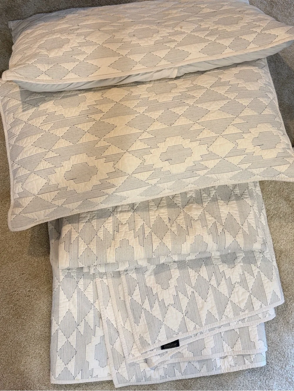 Pendleton shown pillow