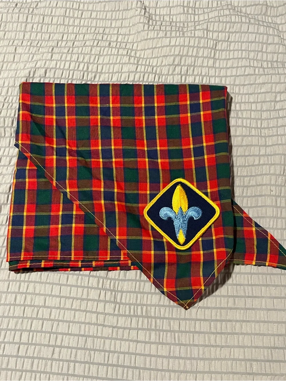 Scouting America bsa cub