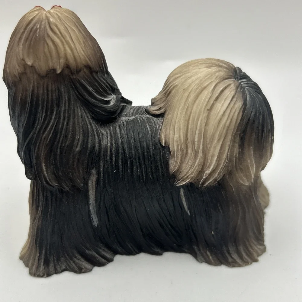 N/A adorable shih