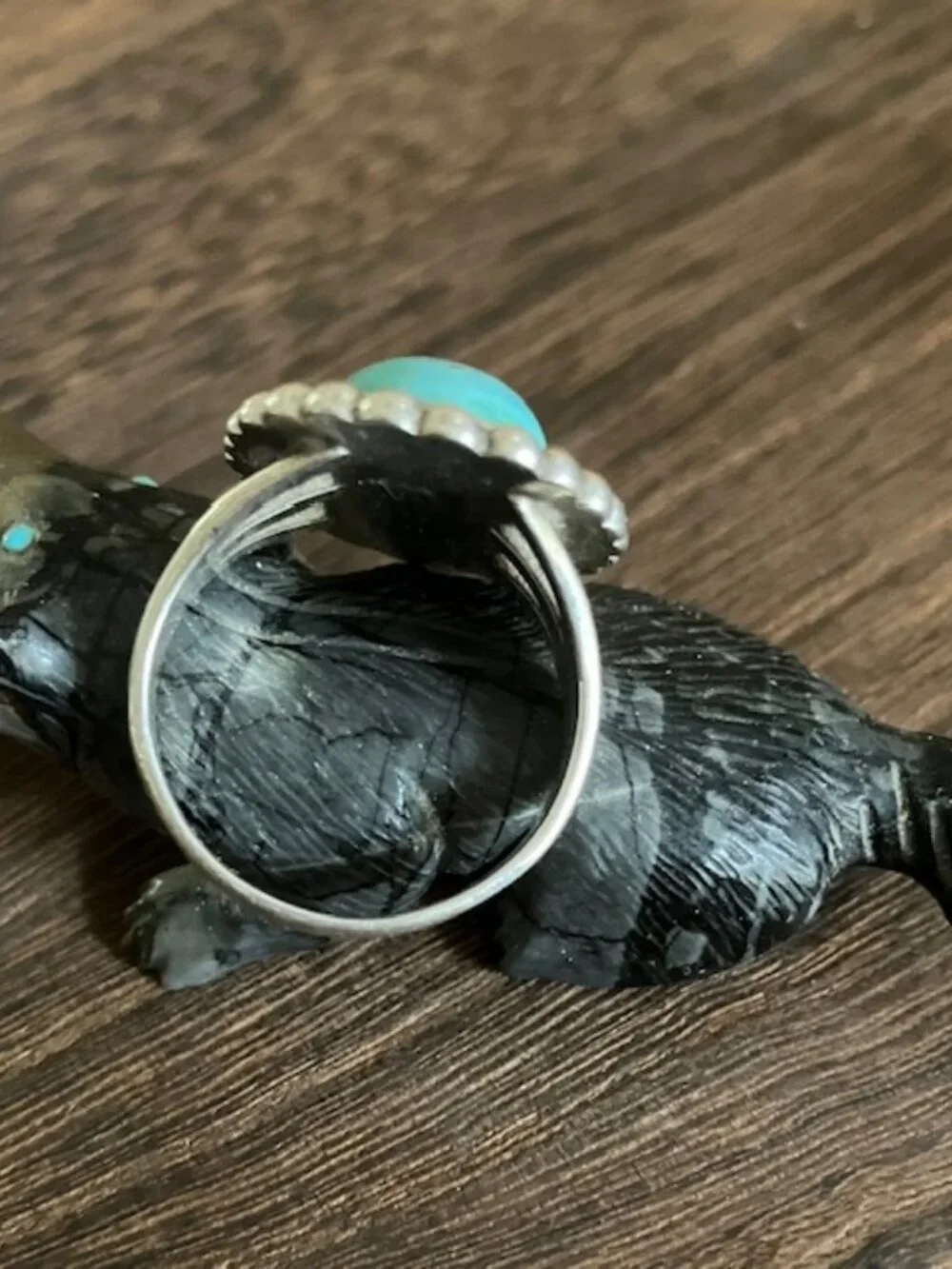 Navajo beautiful robin