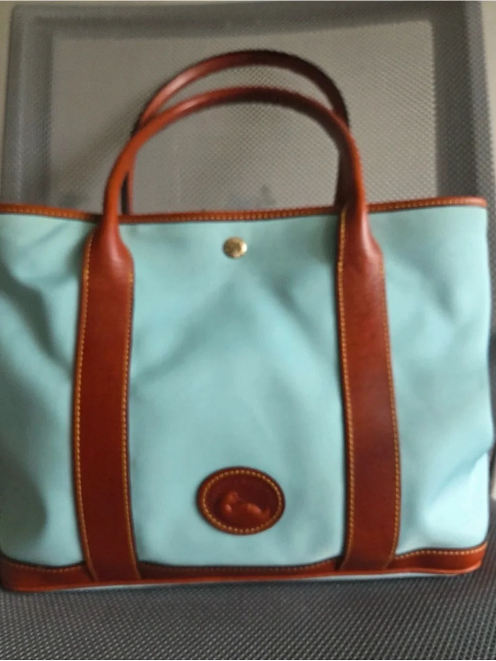 Dooney & Bourke Aqua Tote with Brown Leather Trim