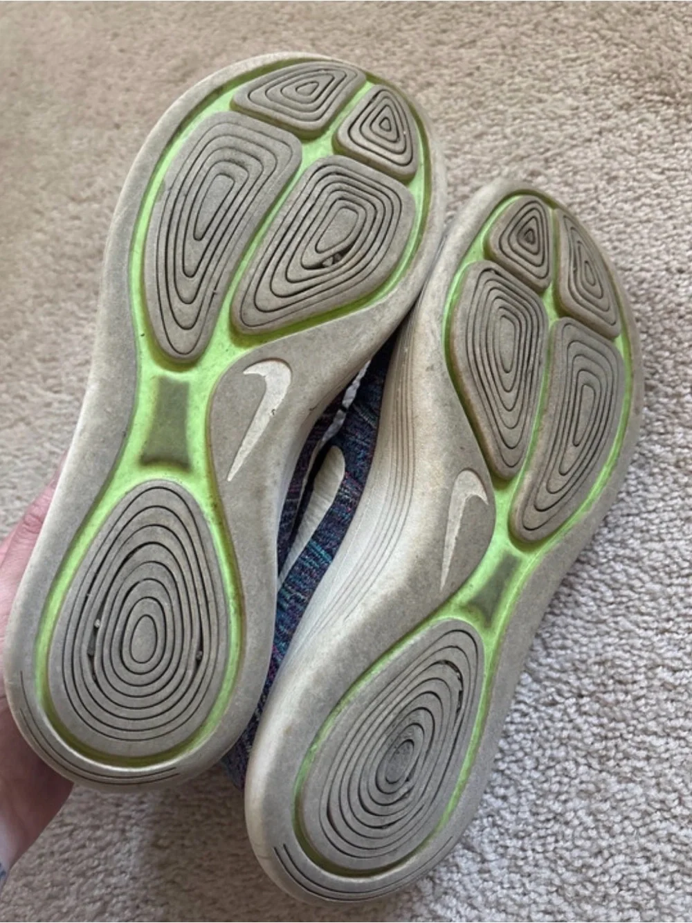 Nike loved pet
