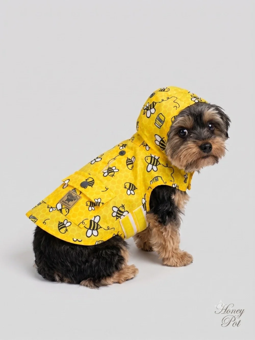 Canada Pooch 