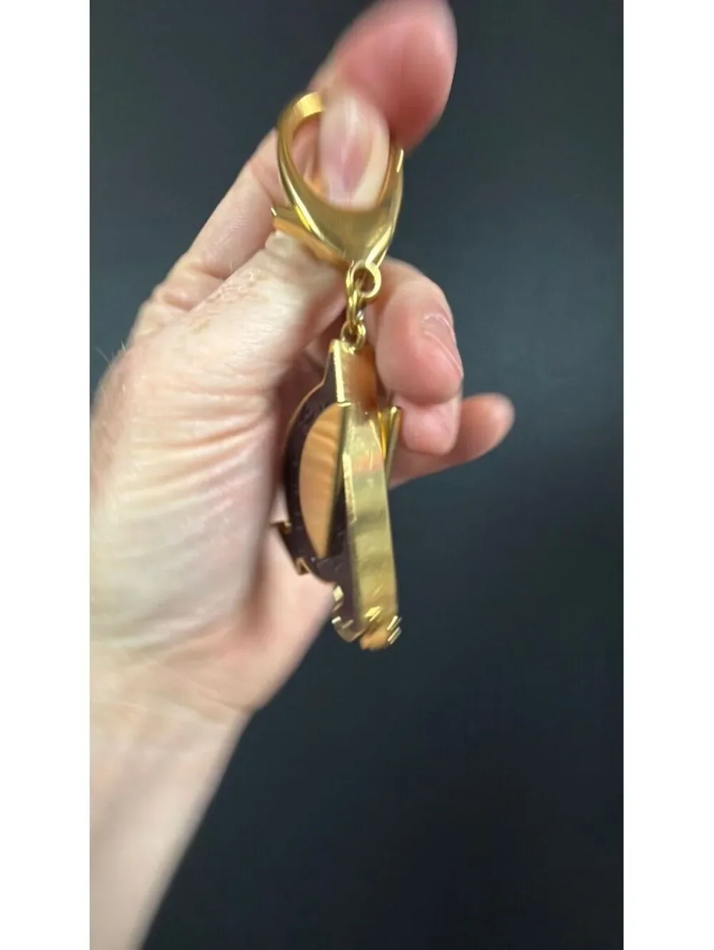 Louis Vuitton scratching light bag
