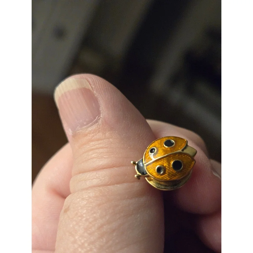 Avon miniature ladybug