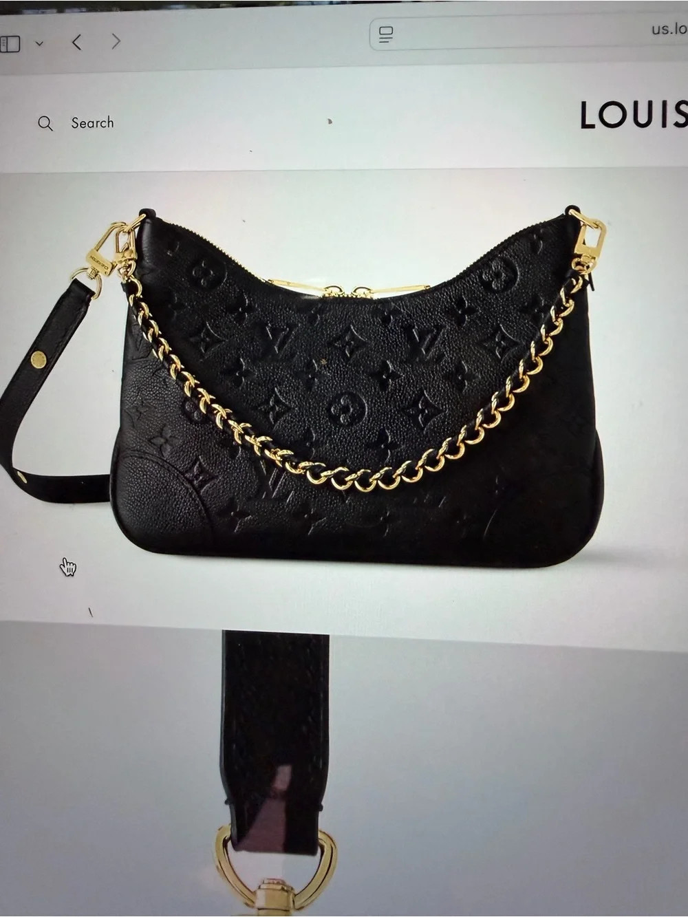 Louis Vuitton classic louis