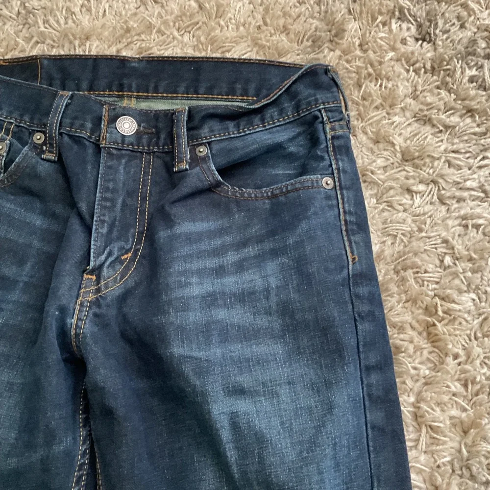 Levis levis 511