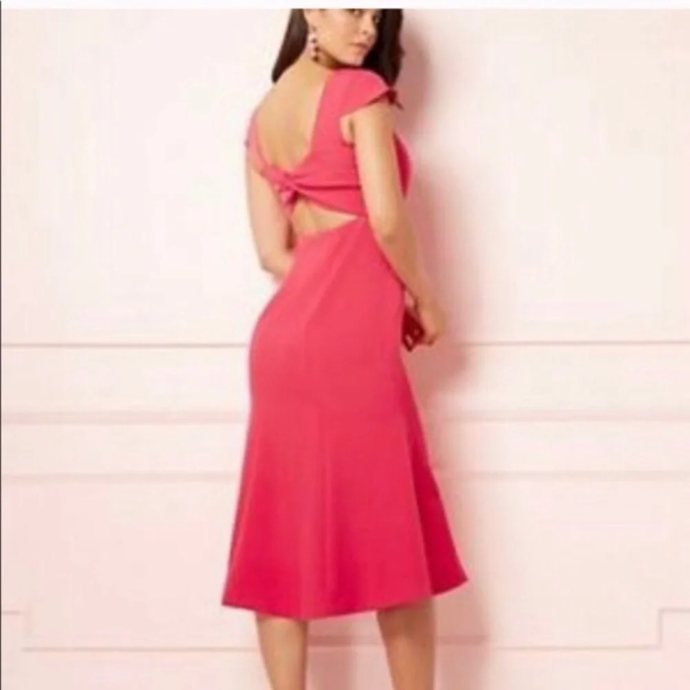 Eva Mendes Pink Hoda Flare Dress Size 0 NWT