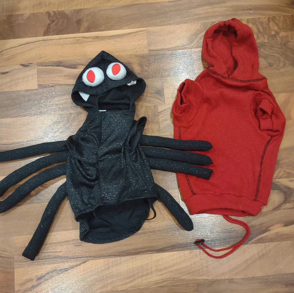 Spider costume and sweater