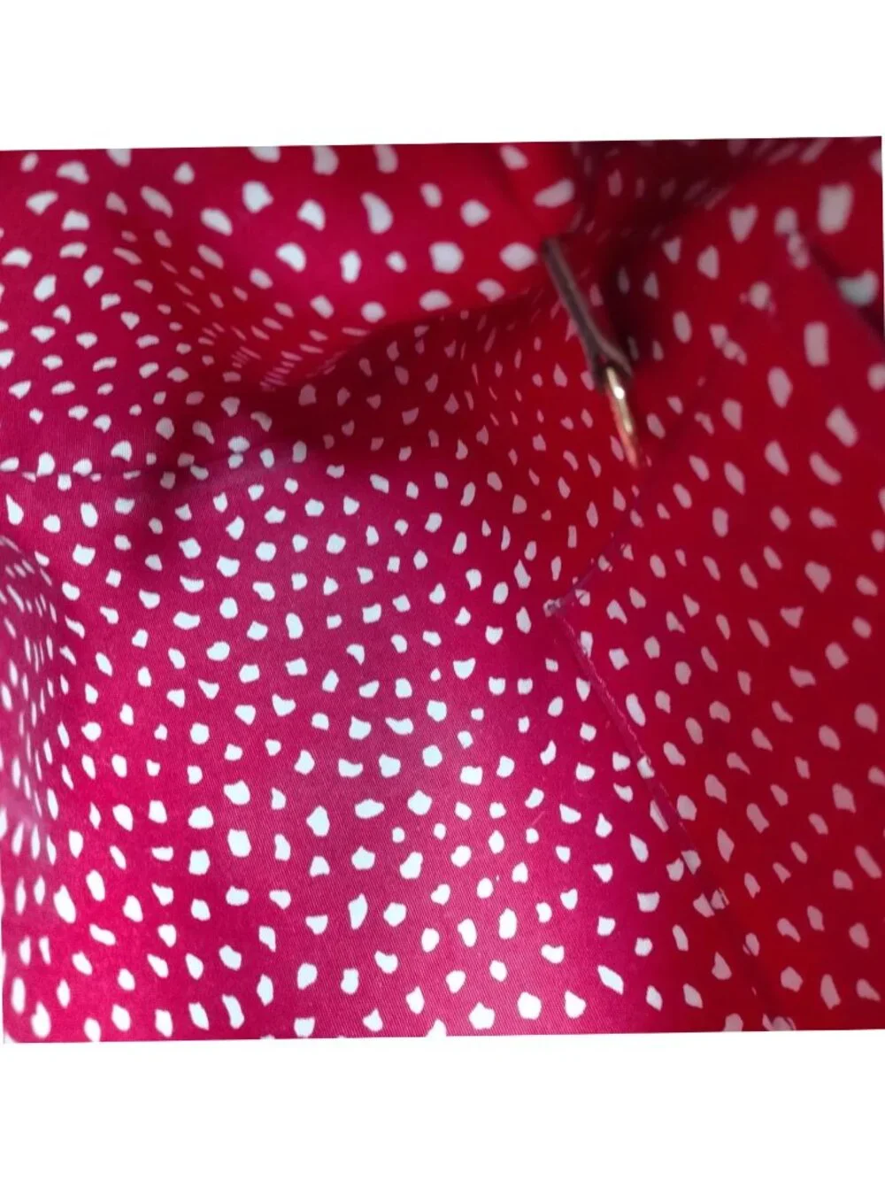 Louis Vuitton authentic louis