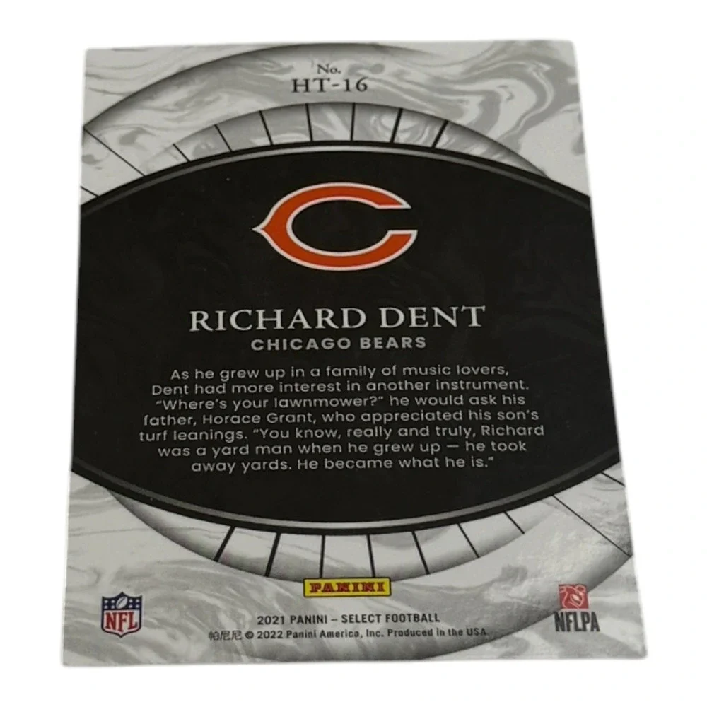 Panini brand series