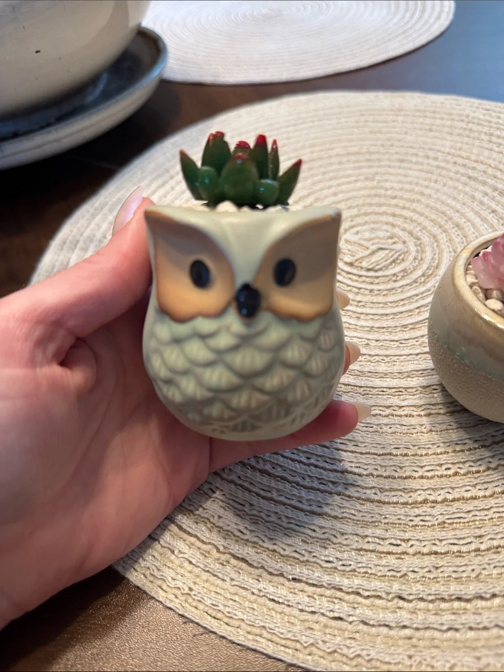 Ceramic Owl & Round Planter Pair with Faux Succulents - Soft Sage and Cream