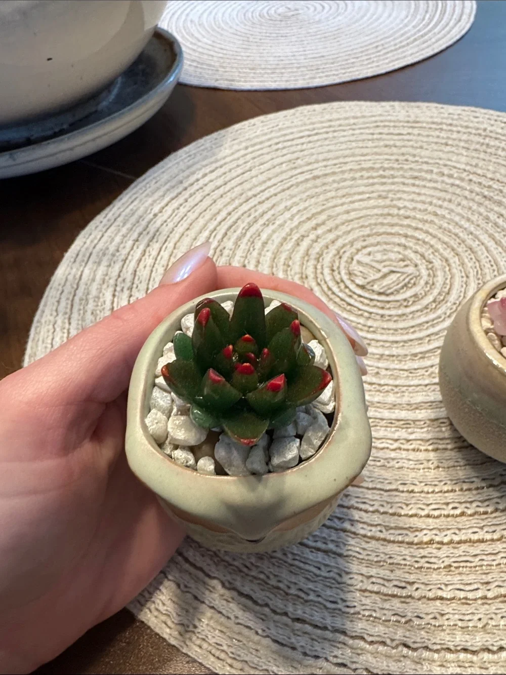 Ceramic Owl & Round Planter Pair with Faux Succulents - Soft Sage and Cream