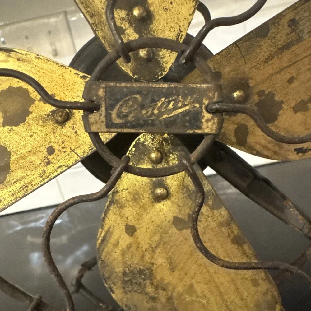 CENTURY decorative use