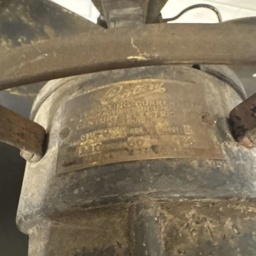CENTURY decorative use