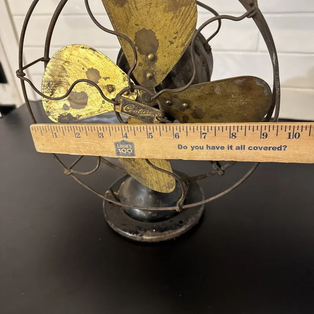 CENTURY decorative use