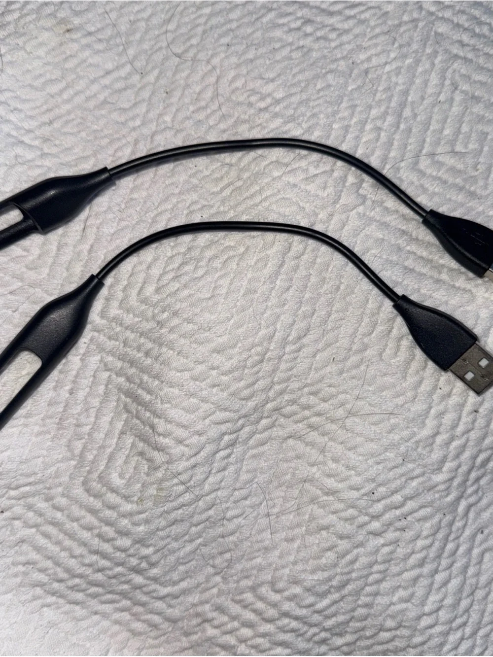 fitbit fit bit
