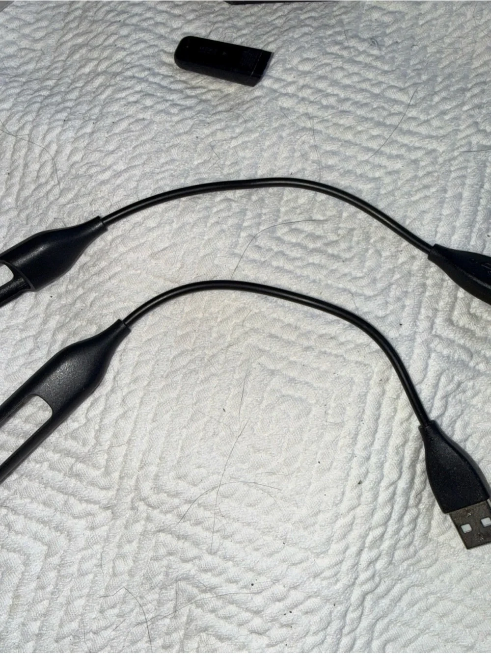 fitbit fit bit